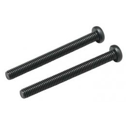 サイレンサー取付ネジ (M3.0×30) 843.E3030